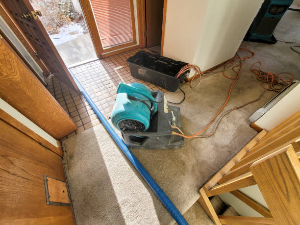 Best 24-hour water damage restoration  in Sharpsburg, NC