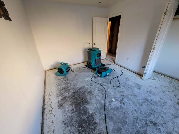 Best Commercial water damage restoration  in Sharpsburg, NC