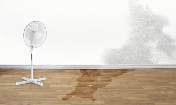 Best Commercial water damage restoration  in Sharpsburg, NC