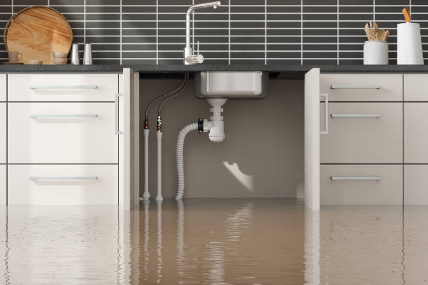 Best Local water damage restoration  in Sharpsburg, NC
